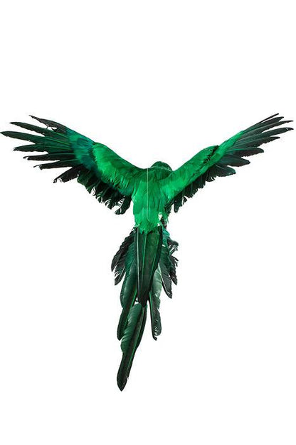 22" Feather Flying Macau Green