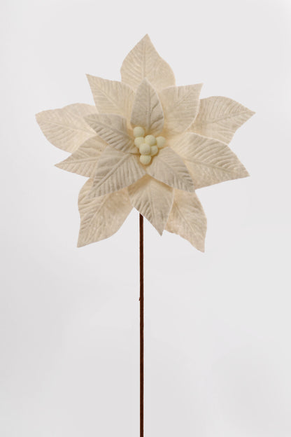 24" Poinsettia W/ Felt Center Stem Ivory