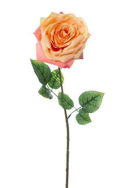 20" Open Rose Spray Apricot