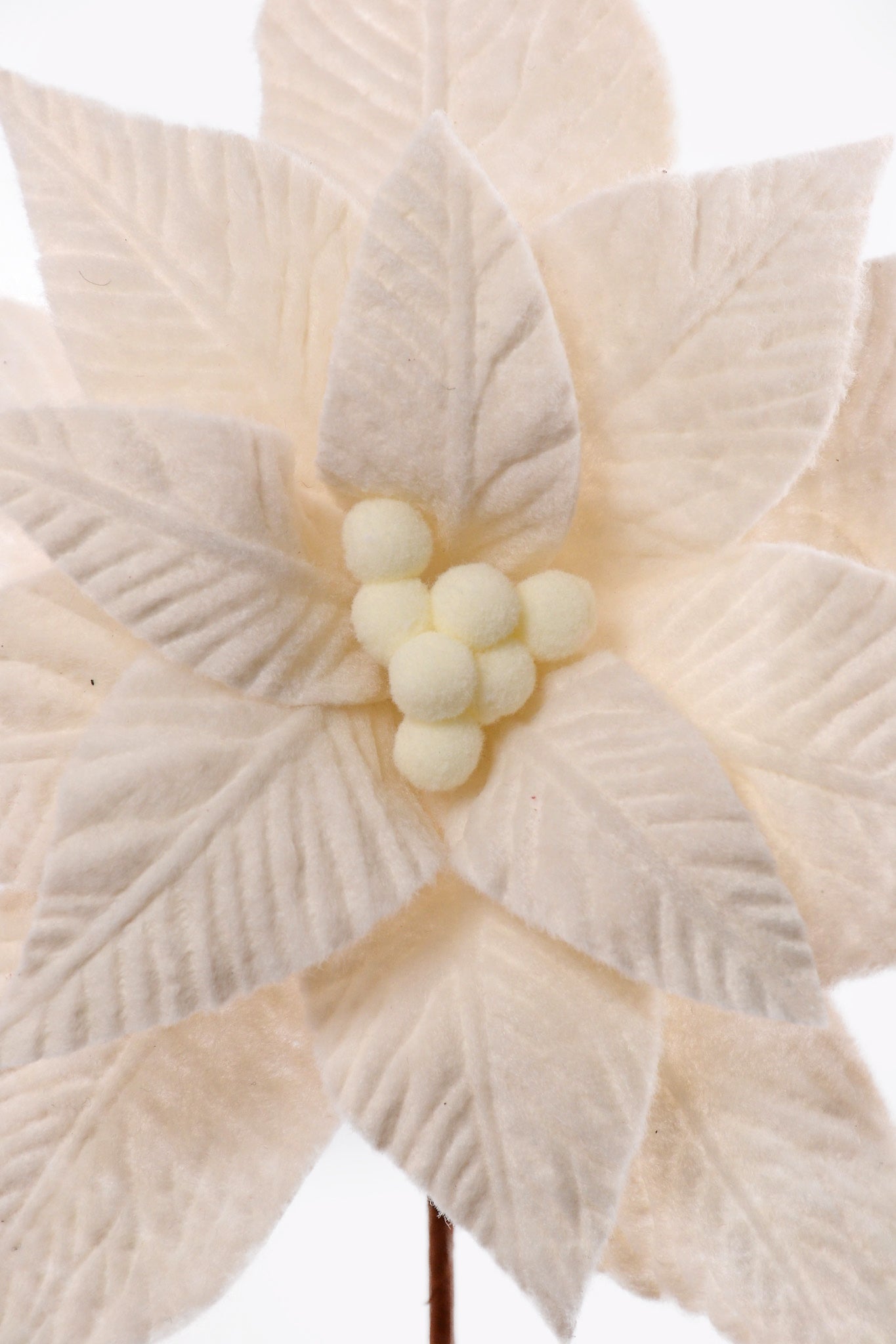 24" Poinsettia W/ Felt Center Stem Ivory