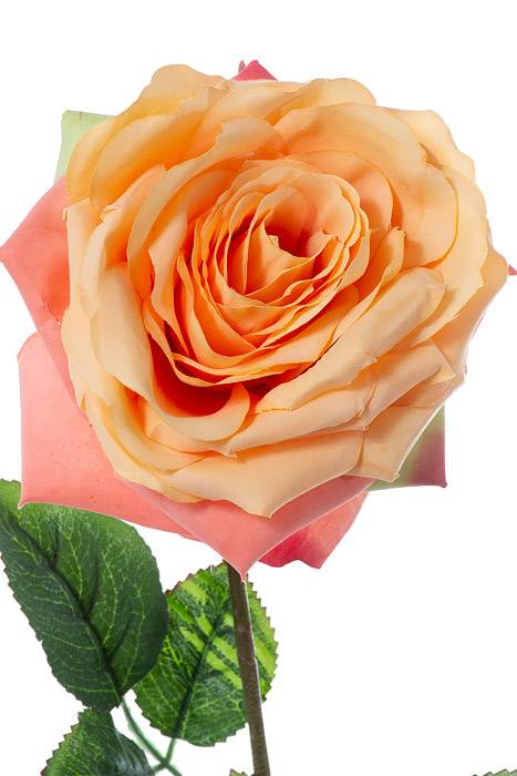 20" Open Rose Spray Apricot