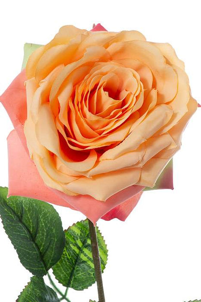 20" Open Rose Spray Apricot