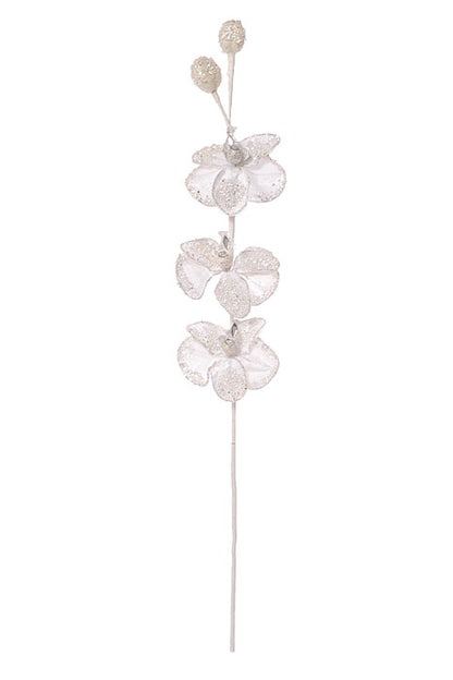 33" Iced Winter Phalaenopsis Orchid Spray White/Frost
