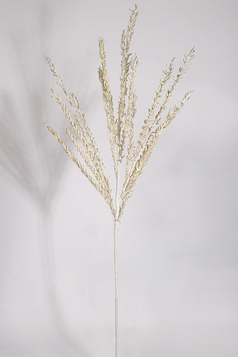 43" Foam Eva Pine Spray Cream