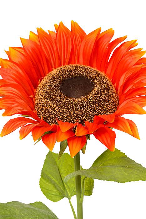 57" Giant Silk Sunflower Spray Orange