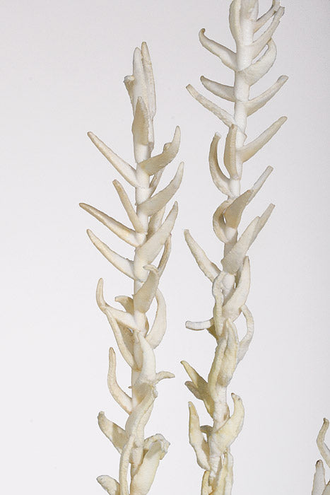 43" Foam Eva Pine Spray Cream