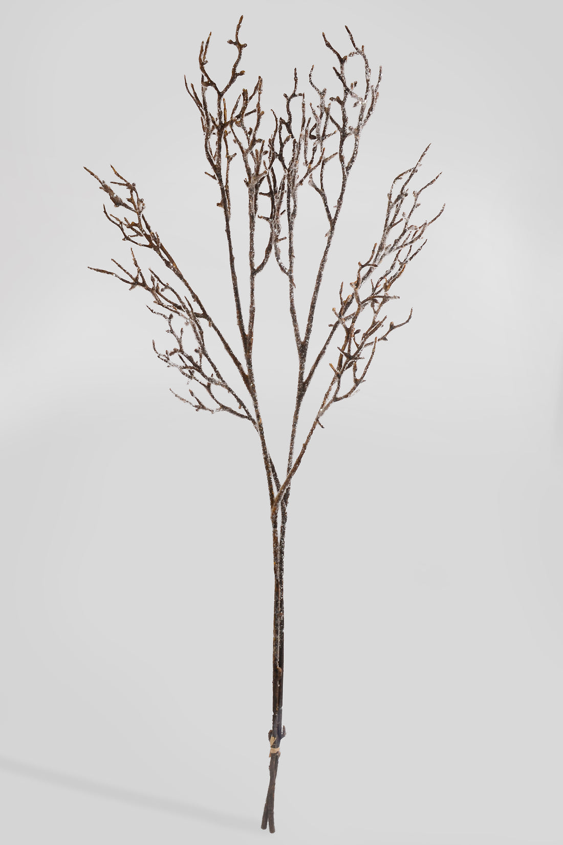 37" Iced Birch Bundle Spray Natural Frost