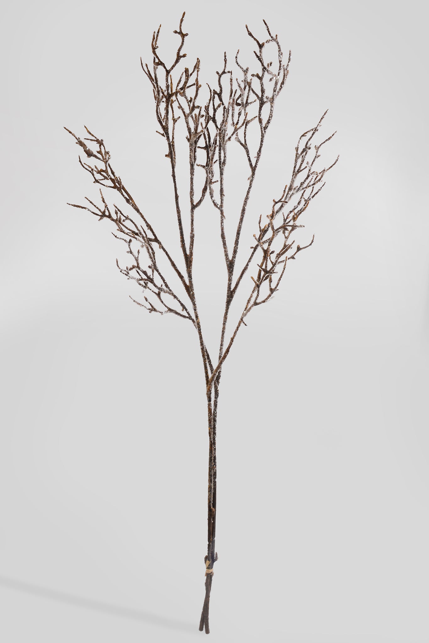 37" Iced Birch Bundle Spray Natural Frost
