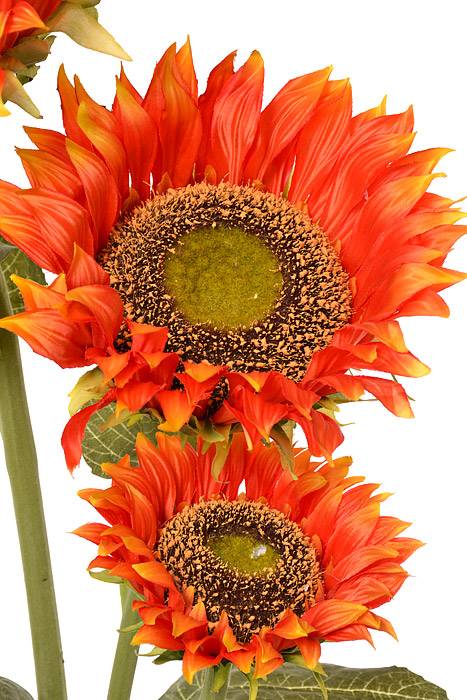 55" Silk Sunflower Stem Orange