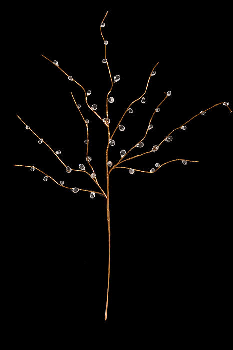 30" Crystal Bead Spray Champagne