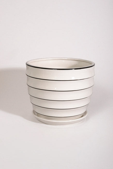 7.25" Large White Ribbed Pot With Saucer White/Black