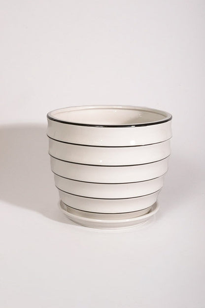 7.25" Large White Ribbed Pot With Saucer White/Black