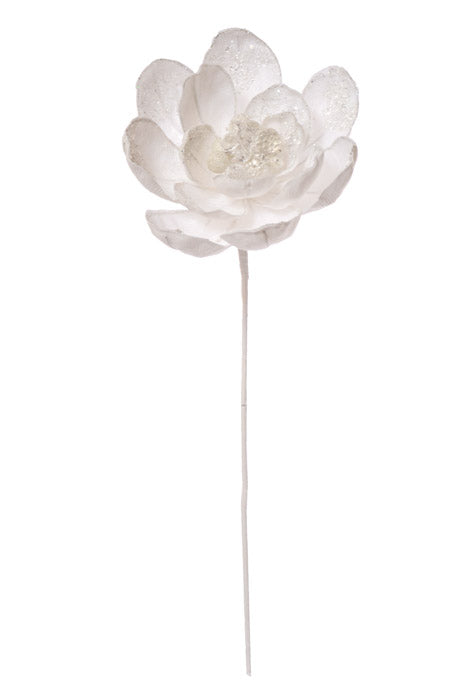 24" Iced Winter Magnolia Stem White/Frost