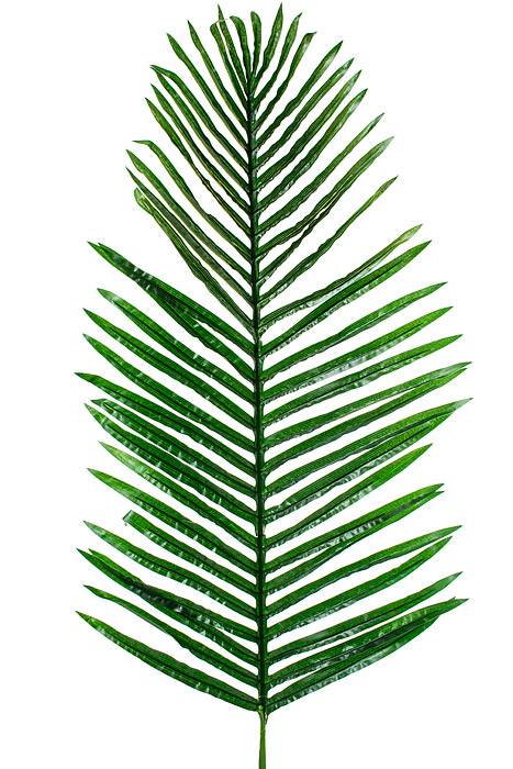 41.5" Areca Palm Green