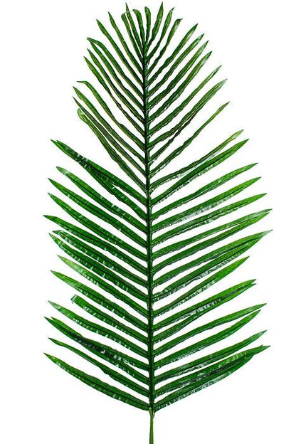 41.5" Areca Palm Green