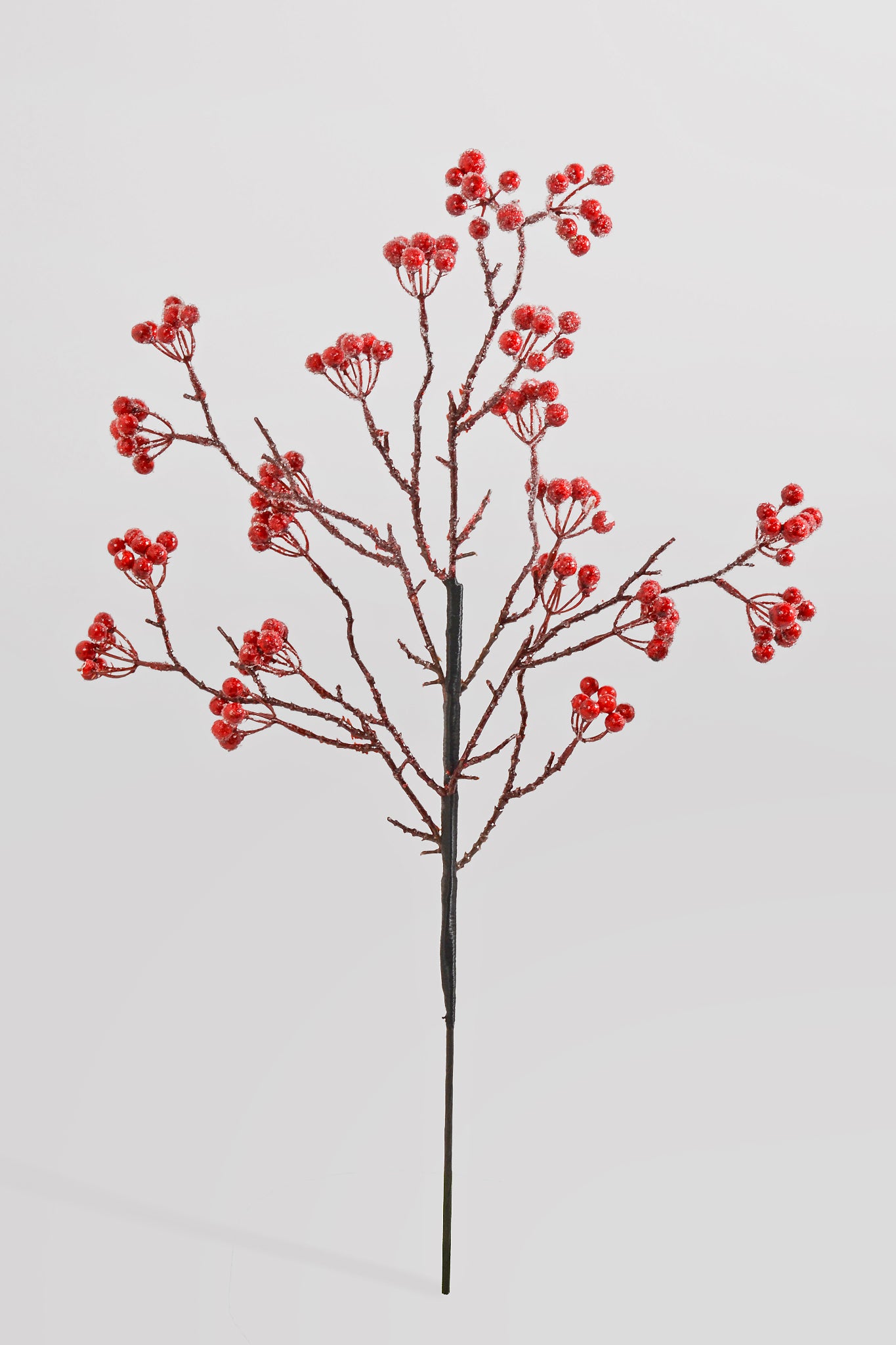 23.5" Wp Iced Dripping Berry Spray Red