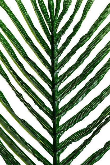 41.5" Areca Palm Green