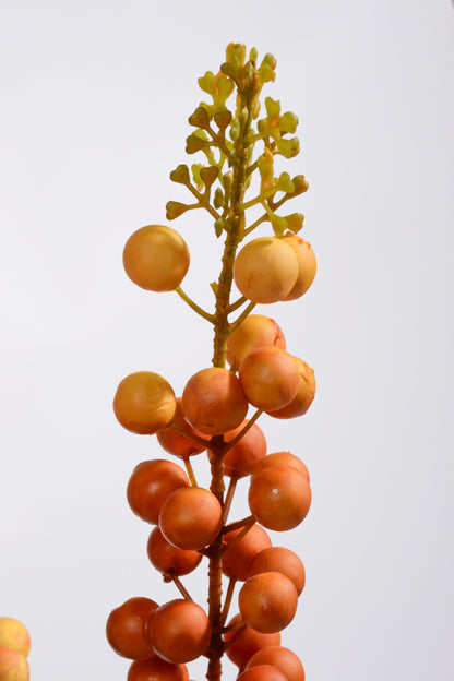 35" Berry Spray Orange/Yellow