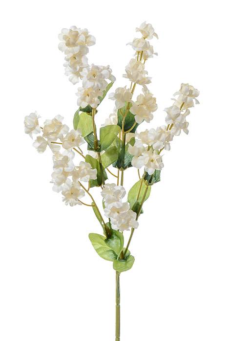 19" Silk Double Baby Breath Cream/white Pkg/6