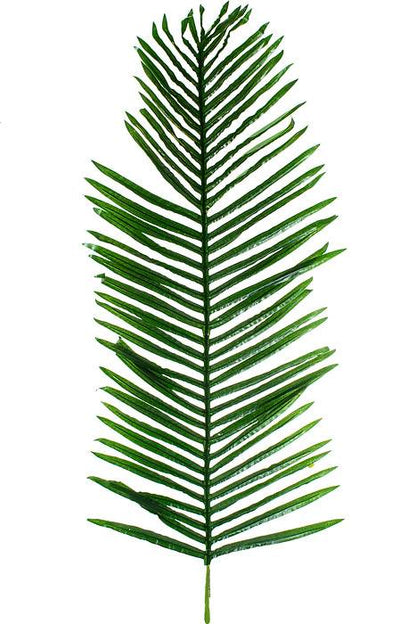 49" Areca Palm Green