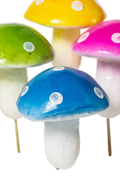 6.75" Mushroom Pick Multi Pkg/6