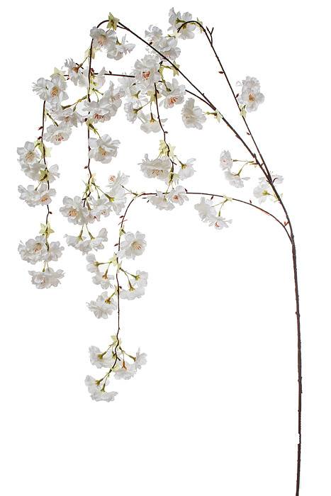 57" Silk Hanging Cherry Blossom White