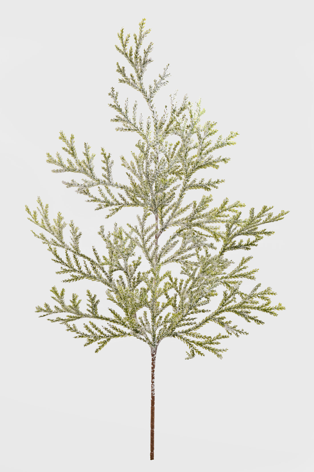 21" Frosted Lycopodium Spray Natural Frost