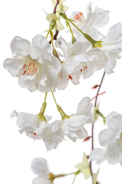 57" Silk Hanging Cherry Blossom White
