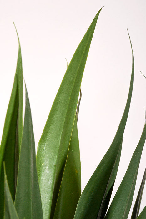 36" Artificial Agave Plant In Pot Green
