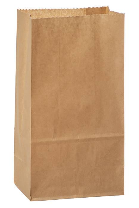Paper Bags Natural Pkg/50