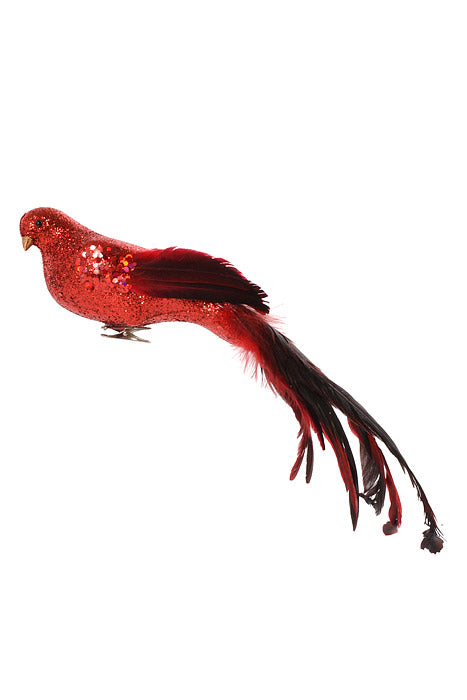 15" Long Tail Feather/Glitter Bird Red