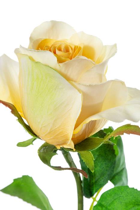 28" Rose Stem Yellow