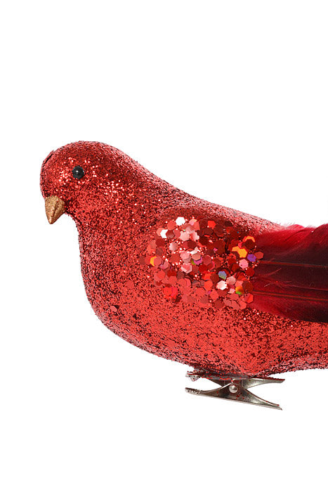15" Long Tail Feather/Glitter Bird Red