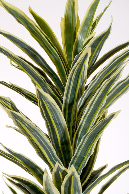 44" Artificial Mini Dracaena with Rattan Basket Variegate