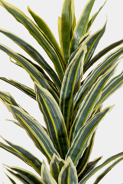 44" Artificial Mini Dracaena with Rattan Basket Variegate
