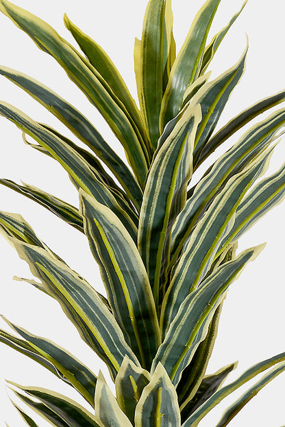 44" Artificial Mini Dracaena with Rattan Basket Variegate