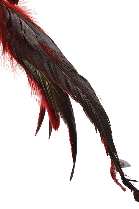 15" Long Tail Feather/Glitter Bird Red