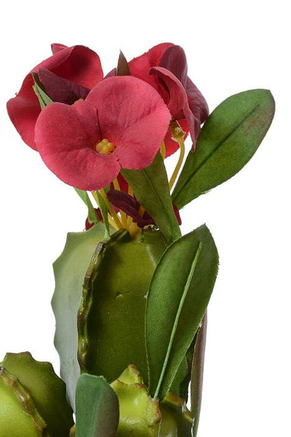 14" Artificial Madagascar Plant W/bloom Green/red