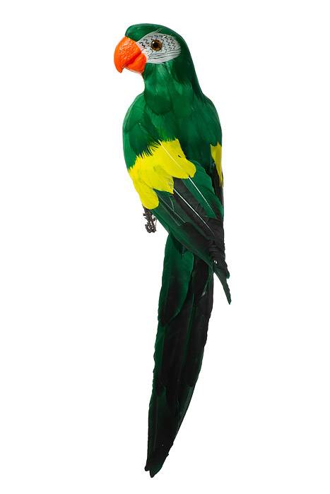 17.5" Standing Parrot Green/yellow