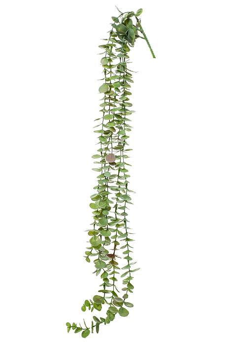 35" Eucalyptus Hanging Pick Green