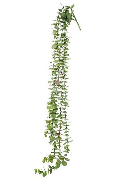 35" Eucalyptus Hanging Pick Green