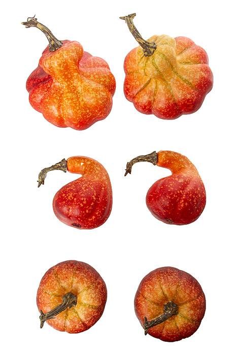 3 Style Pumpkin Fall Colors Pkg/6