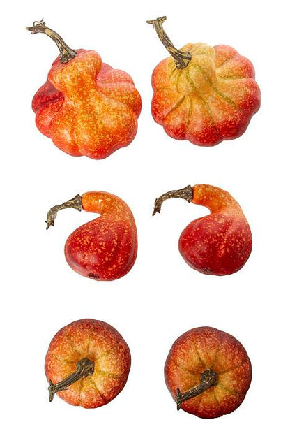 3 Style Pumpkin Fall Colors Pkg/6