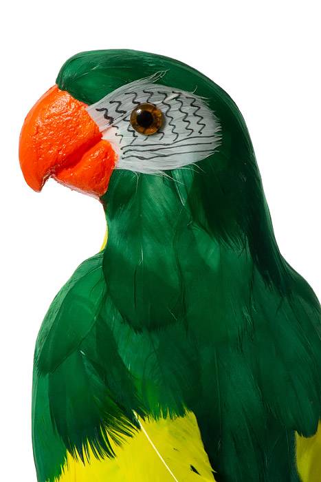 17.5" Standing Parrot Green/yellow
