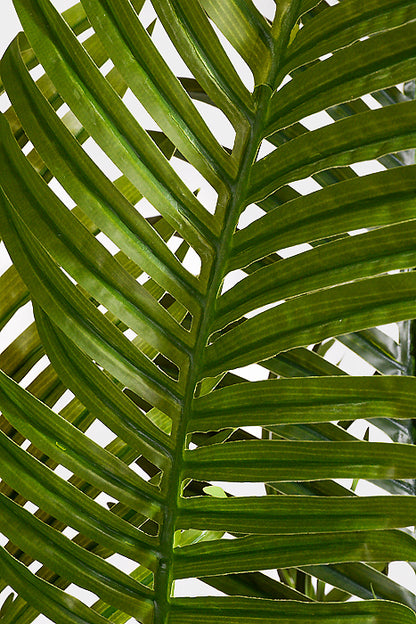 54" Artificial Areca Palm Tree with Rattan Basket Green