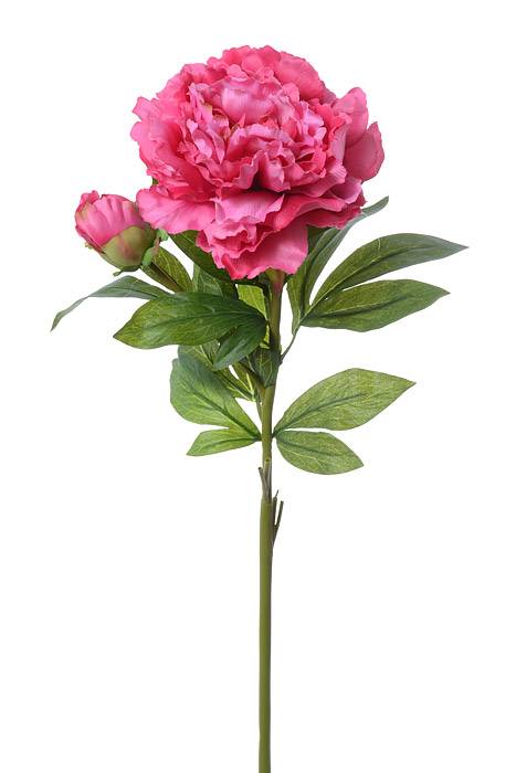 29.5" Silk Peony Spray W/bud Fuschia