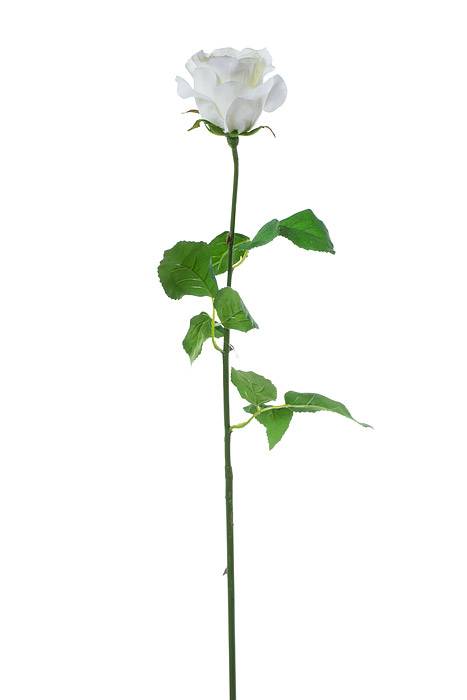 28" Rose Stem White