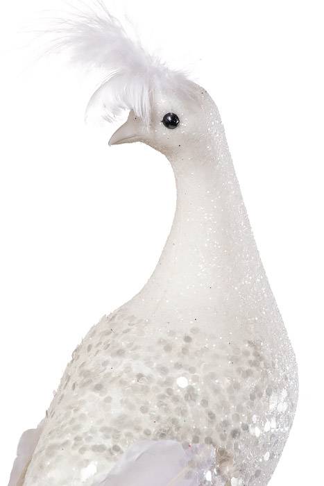 28" Glittered Peacock W/feather Tail White