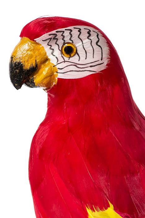 17.5" Standing Parrot Red/yellow