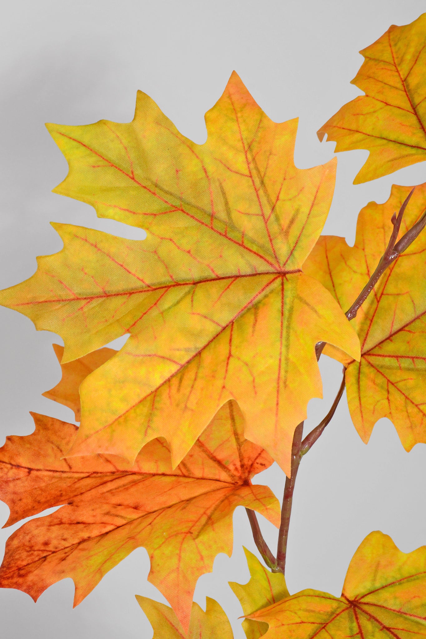 31" Silk Maple Leaf Spray Mustard Green